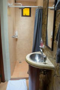 圣克里斯托瓦尔-德拉斯卡萨斯Arte Sano Hotel San Cristobal的一间带水槽和淋浴的浴室