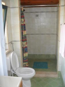 苏尔莫纳Giamia Villas的一间带卫生间和淋浴的浴室
