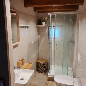 杜布罗夫尼克Gozdarjeva hiška M&K的带淋浴、卫生间和盥洗盆的浴室