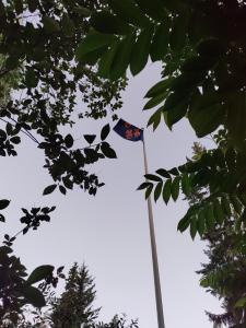 MuurameVilla Lilja的树杆顶上悬挂的旗帜