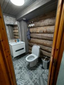 MuurameVilla Lilja的一间带卫生间和木墙的浴室