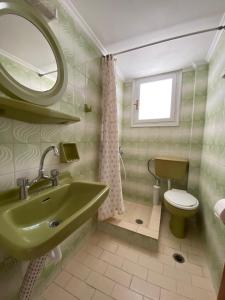 帕罗奇亚Helliniko Hotel的一间带绿色水槽和卫生间的浴室
