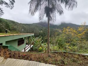 新弗里堡Lumiar Eco Lodge - Chalé Telhado Verde的山屋前的棕榈树