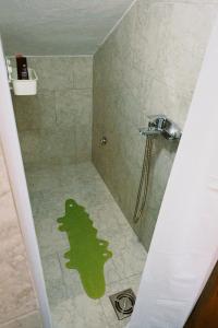贝尔格莱德Apartment Smokva的涂在淋浴地板上的绿色青蛙