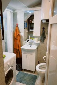贝尔格莱德Apartment Smokva的一间带水槽和卫生间的小浴室