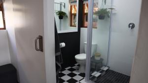 克卢夫Nkutu River Lodge的一间带卫生间和玻璃淋浴间的浴室