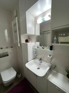 波德戈里察Oscar的白色的浴室设有水槽和卫生间。
