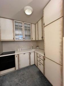 波德戈里察Oscar的厨房配有白色橱柜和水槽