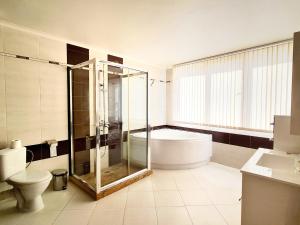 桑丹斯基Парк Апарт-Хотел Виктория 1的带淋浴、浴缸和卫生间的浴室