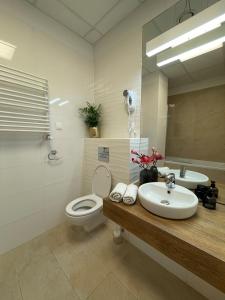 华沙ALE Jerozolimskie Varsovia Apartments的一间带水槽、卫生间和镜子的浴室