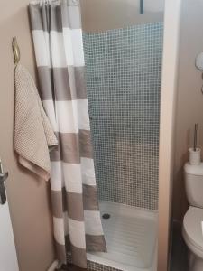 AndonThorenc的浴室内配有淋浴帘。