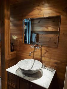 EnneyAppartement vouté en Gruyère dans l'Intyamon的一间带石制水槽和镜子的浴室