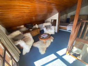 代米考迪亚Appartement face Mont Blanc的客厅享有高空的景色,配有带毛皮的地毯