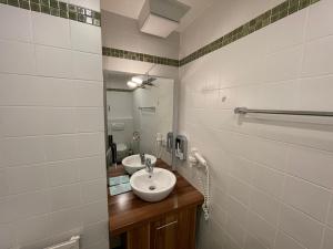 巴登-巴登Landhotel Traube的一间带水槽和镜子的浴室