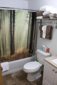 塔尔基特纳Susitna River Lodging, Backwoods Cabins的浴室设有卫生间和森林淋浴帘
