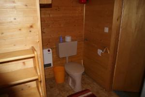 伦韦格Gästehaus Ferienwohnungen LACKNER的木制客房内的小型浴室设有卫生间