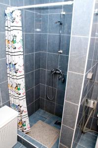 扎布利亚克Apartment Aleksić的带淋浴和浴帘的浴室