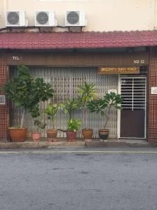 马六甲Discovery Youth Hostel Malacca的建筑一侧的盆栽植物群