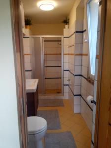 大毛罗什V4 Kilátóterasz Apartmanok Földszint的一间带卫生间和水槽的浴室