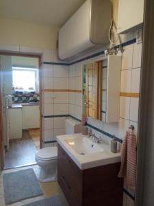 大毛罗什V4 Kilátóterasz Apartmanok Földszint的一间带水槽、卫生间和镜子的浴室