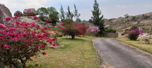 埃祖尔韦尼Mdzimba Mountain Lodge的山边一条有粉红色花的路