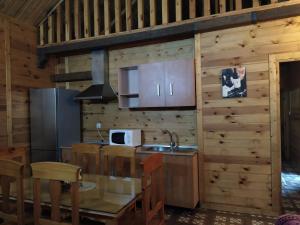 安度亚尔塞拉利昂月神乡间公寓酒店的厨房设有木墙、一个柜台和水槽