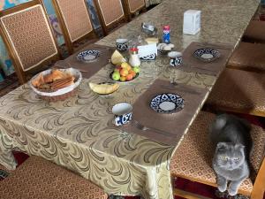 布哈拉Art Guest House USTO的坐在餐桌上吃食物的猫