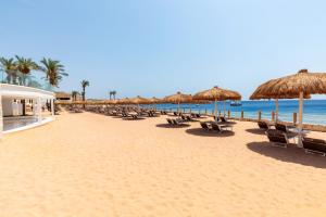 沙姆沙伊赫Meraki Resort Sharm El Sheikh Adults only的海滩上设有椅子和遮阳伞,还有大海