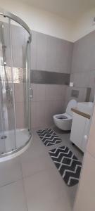 奥托佩尼Tom's House的带淋浴和卫生间的浴室以及地毯。