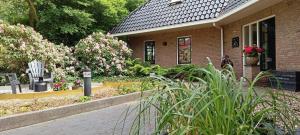 奥门Rembrandthuis的前面有鲜花的砖房