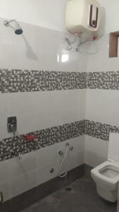 焦特布尔Kurja Resort Balsamand的一间带卫生间和水槽的浴室