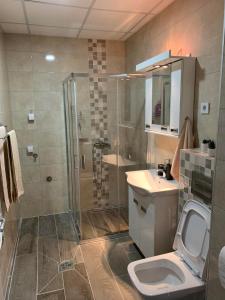 帕拉钦Apartman Diamond的带淋浴、卫生间和盥洗盆的浴室