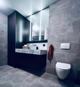 雷克雅未克2x Bedroom Luxury Apartment with amazing views!的一间带卫生间和水槽的浴室