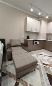 阿拉木图Уютная квартира-студия ЖК Lotus Terrace的带沙发的客厅和厨房