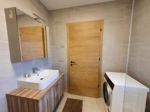 博尔扎诺New Great Apartment Bolzano with 25m pool的一间带水槽和洗衣机的浴室
