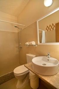 马苏里Acropolis Hotel的一间带水槽、卫生间和镜子的浴室
