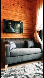阿尔莎法كوخ البيلسان的墙上的电视的沙发