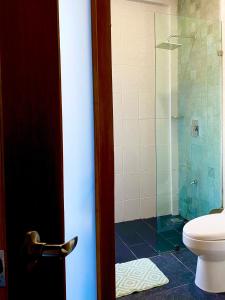 埃尔库约Ah Muzenkab的一间带卫生间和玻璃淋浴间的浴室