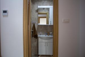 尼克希奇Apartman Mazić Nikšić的一间带水槽和镜子的浴室