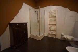 海德堡海德堡公寓酒店的带淋浴、卫生间和盥洗盆的浴室