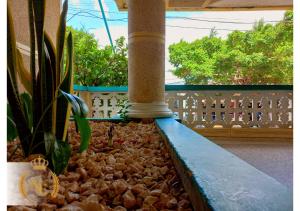 巴兰基亚Hotel Nueva Esperanza的阳台的廊子,有柱子和一些植物