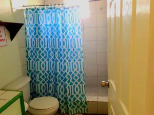 LaborieJuju's Cottage with magnificent views的浴室配有蓝色的浴帘和卫生间
