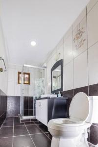 奥拉涅斯塔德Enjoyment Villa Cataleya的浴室配有卫生间、淋浴和盥洗盆。
