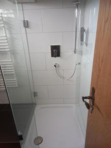 斯图加特Hotel Wiesbadener Hof的带淋浴的浴室和玻璃门