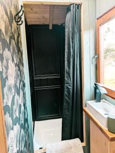比迪福德Stunning Shepherd's Hut Retreat North Devon的带淋浴和盥洗盆的浴室