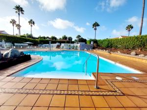 圣巴托洛梅Bungalow de diseño hidromasajes terraza y piscina.的一座棕榈树环绕的大型游泳池