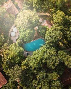 富国Valley Village Phu Quoc的享有树林中游泳池的顶部景致