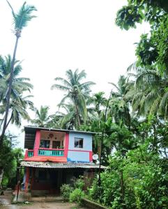 阿利鲍格Bageecha B&B- Vaayu的一座棕榈树成荫的多彩房子