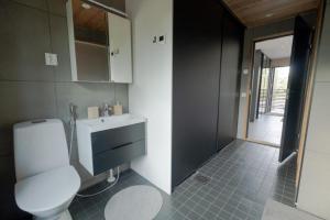 伊瓦洛Norlight Cottages Ivalo - Tuli的一间带卫生间和水槽的浴室