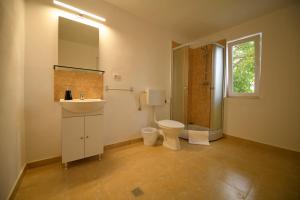 哈采格Pensiunea HERA Hațeg的浴室配有卫生间、盥洗盆和淋浴。